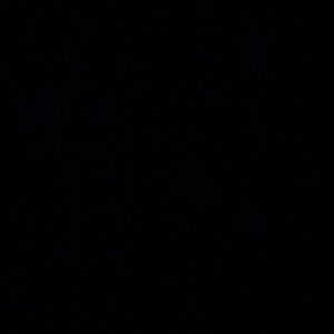 Meet your Posher, Maddy